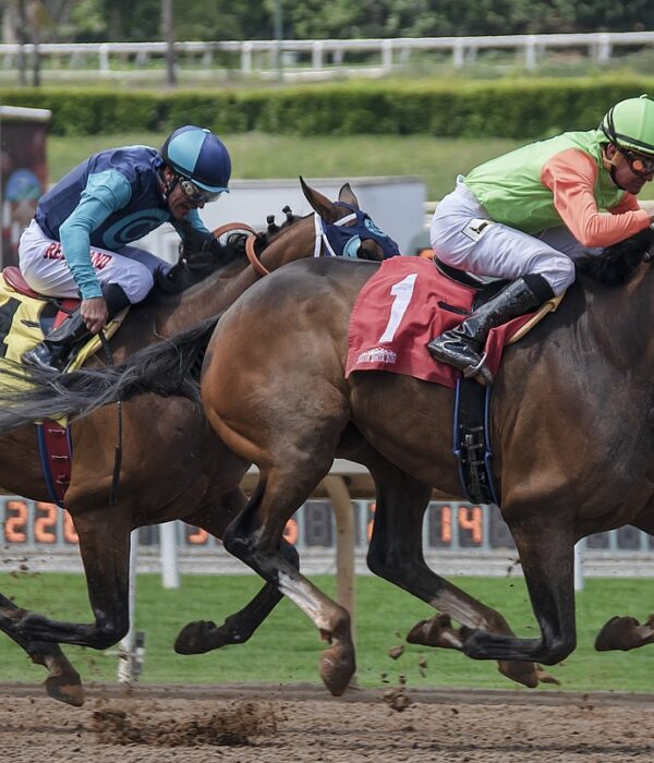 Dois jockeys com seus cavalos em uma corrida