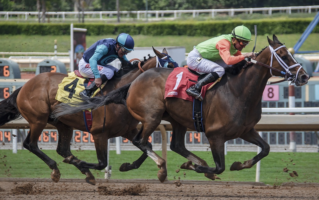 Dois jockeys com seus cavalos em uma corrida